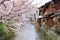 Kyoto wooden house and sakura