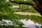 Kyoyochi Pond â€“ the water garden of the Ryoan-ji temple. Kyoto. Japan