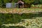 Kyoyochi Pond â€“ the water garden of the Ryoan-ji temple. Kyoto.Japan