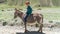 Kyrgyz kid riding a donkey through the countryside