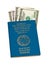 Kyrgyz passport and money