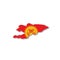 Kyrgyzstan national flag in a shape of country map