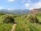 Kyrgyzstan, the Tien Shan mountains. A beautiful summer landscape with freshly mowed hay in the foreground, a figure of a lonely