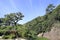 Kyu Higurashi teahouse and Okedoi waterfall in Ritsurin garden