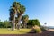 L`Ampolla Spain Costa Dorada Parc de Salut de L`Arenal palm trees in park