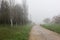 L calm landscape with road in misty gray winters day