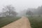 L calm landscape with road in misty gray winters day