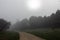 L calm landscape with road in misty gray winters day