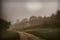 L calm landscape with road in misty gray winters day