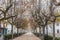 L calm landscape with road in misty gray winters day