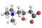 L-carnintine molecule