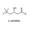 L-carnitine chemical formula