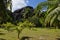 L\'Union Estate, La Digue, Seychelles islands