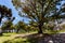 La Alameda Park in the center of Quito