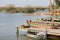 La Albufera nature reserve Spain