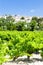 La Cadiere d& x27;Azur with vineyards, Provence, France