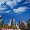 LA Downtown Los Angeles Pershing Square palm tress