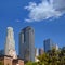 LA Downtown Los Angeles Pershing Square palm tress