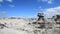 la esfinge (sphinx). Ischigualasto Provincial Park (Valle de la Luna).The natural park of the province