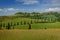 La Foce - cypress tree lined road in Val d`Orcia