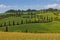 La Foce - cypress tree lined road in Val d`Orcia