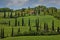 La Foce - cypress tree lined road in Val d`Orcia