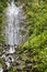 La Fortuna Waterfall in Arenal National Park, Costa Rica