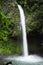 La Fortuna waterfall splashes down amidst lush foliage.