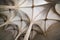 La Llotja gothic vaulted ceiling
