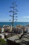 La Malagueta Bullring and Apartments with Sea View in Malaga, Spain