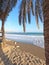 La Malagueta urban sand beach with palm trees promenade at sunrise golden light on the Costa del Sol, Malaga, Spain, Europe