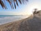 La Malagueta urban sand beach with palm trees promenade at sunrise golden light on the Costa del Sol, Malaga, Spain, Europe