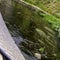 La Marle river in Vannes, Brittany, France