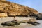 La Mina Beach in Paracas National Reserve, Peru.