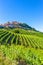 La Morra vineyards, located in Piedmont, Italy.