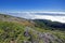 La Palma Caldera de Taburiente sea of clouds in canary Islands