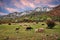 La Palud-sur-Verdon, Provence, France: landscape of the Natural Park of Verdon