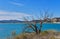 La Pedrera Reservoir in Orihuela. Spain