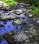 La Petite Cascade - The Little Waterfall of the Cance and Cancon rivers  - Normandy, France