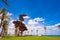 LA PINEDA, SPAIN - JUNE 6, 2017: Sculpture of pines on the waterfront, Tarragona, Catalunya, Spain. Copy space for text.