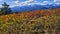 La Plata mountains northwest of Durango