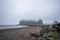 La Push Beach