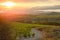 La Rioja. Spain. Vineyard at sunset