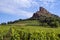 La Roche de SolutrÃ© in the Burgundy vineyards around the village of SolutrÃ©-Pouilly