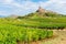 La Roche de SolutrÃ© with vineyards, Burgundy, France