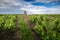 La Tour Bourdon, tower of blocks of sandstone, Beaujolais, France