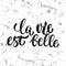 La vie est belle - hand drawn French lettering phrase, it means Life is beautiful, on the white grunge