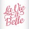 La vie est belle translation in English Life is beautiful. French quote
