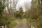 Laagse Bergse Bos in the Netherlands during the autumn