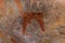 Laas Geel rock paintings, Somalila